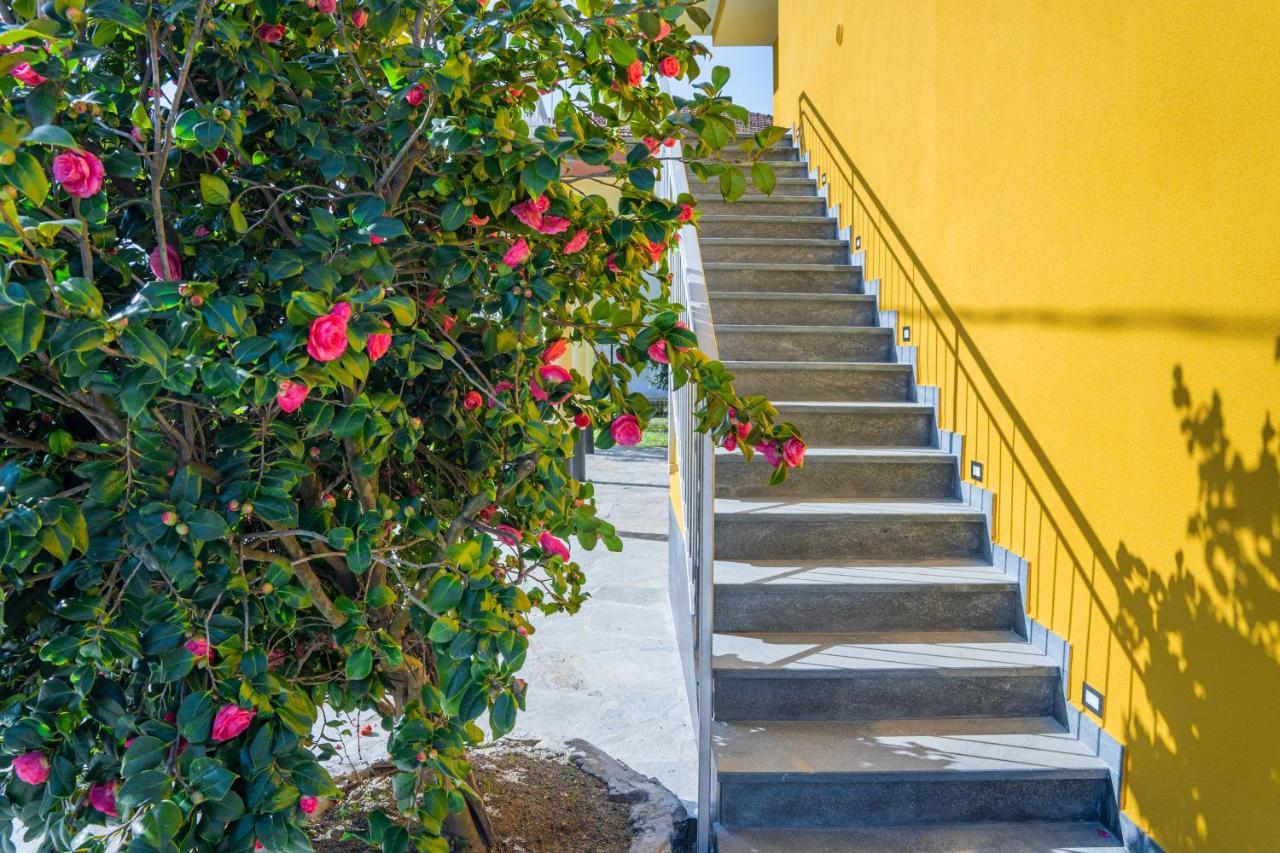 Agricanto Sestri Levante Dış mekan fotoğraf